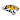 Towson Tigers