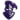 Furman Paladins