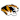 Missouri Tigers