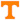 Tennessee Volunteers