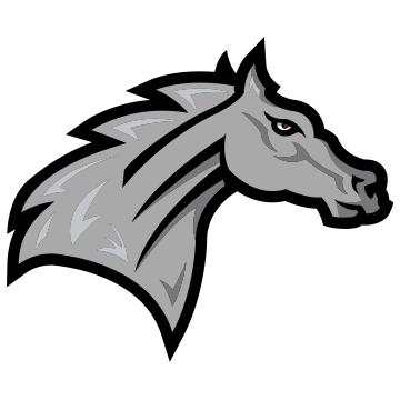Rider Broncs
