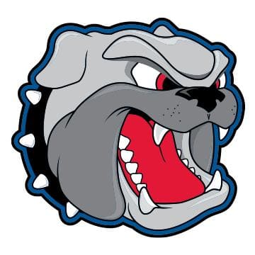 UNC Asheville Bulldogs