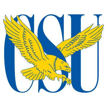 Coppin State Eagles
