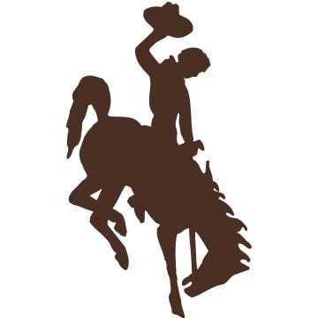 Wyoming Cowboys