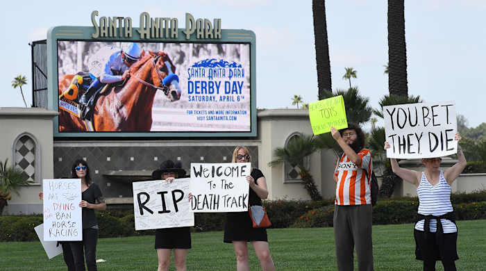 santa-anita-horse-death.jpg