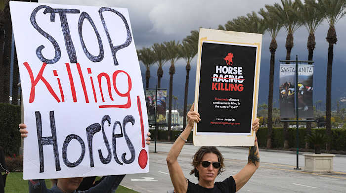 horse_racing_protestors.jpg
