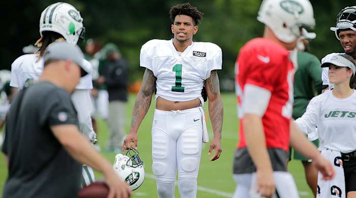 Terrelle Pryor saw action in 11 games last season before being shut down with an ankle injury, from which he is still recovering.
