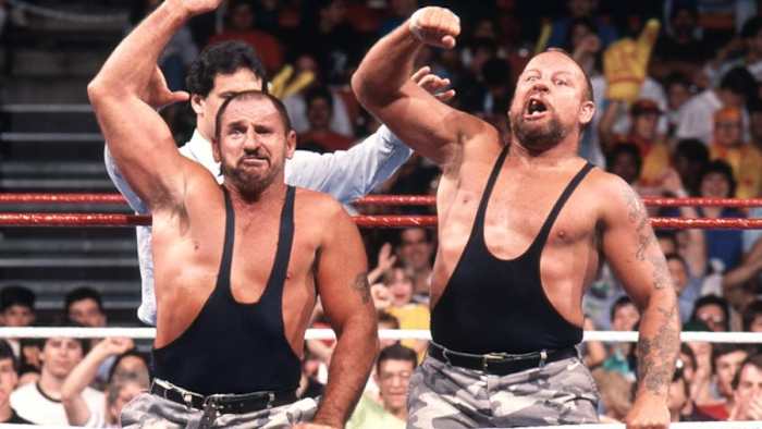 Bushwackers-wwe.jpg