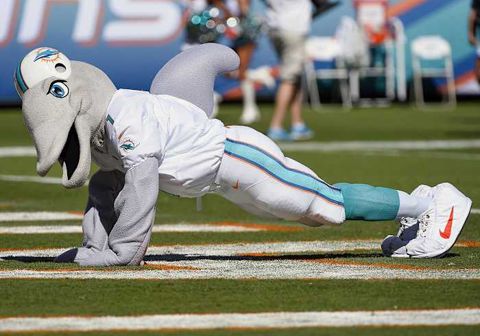 Miami-Dolphins-mascot-TD.jpg