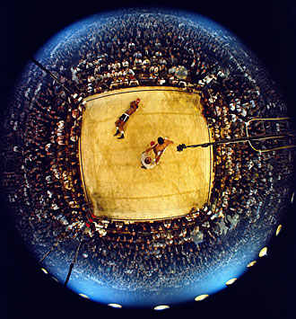 ali-aerial-leifer2.jpg