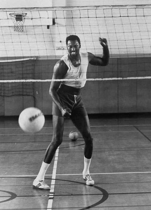 wilt-volleyball-50328569.jpg