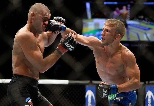 dillashaw-barao-630-2.jpg