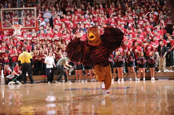 Image placeholder title