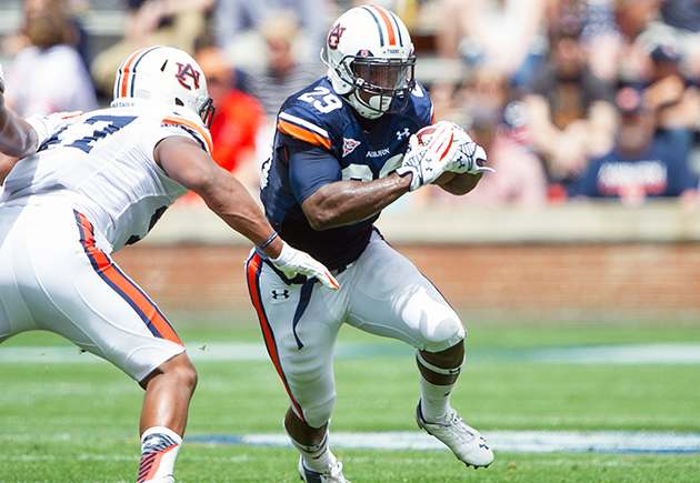 jovon-robinson-auburn-spring-game-run.jpg