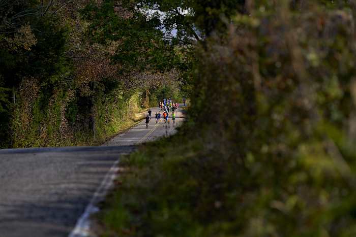 Big Dog's Backyard Ultra runners