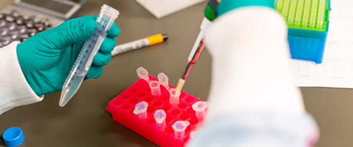 COVID-19 samples at Indiana University.