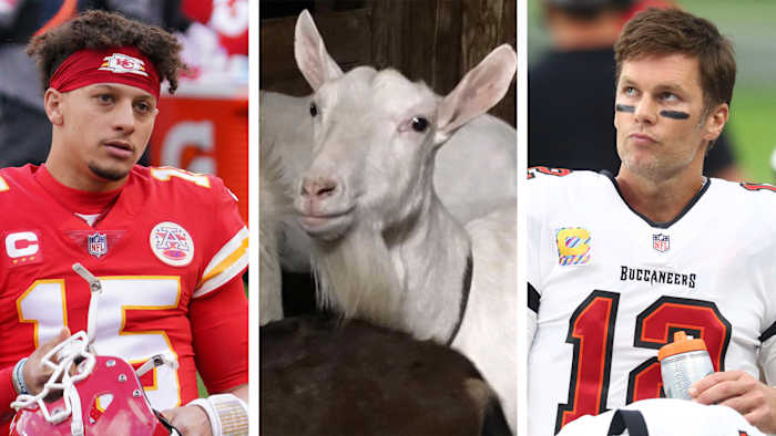 How Mahomes vs. Brady compares to real goat competitions