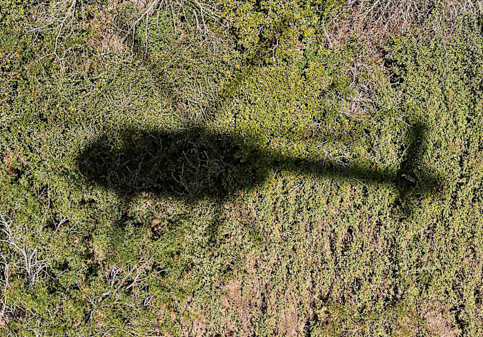 X162952_TK1_1556_rawFinal.w