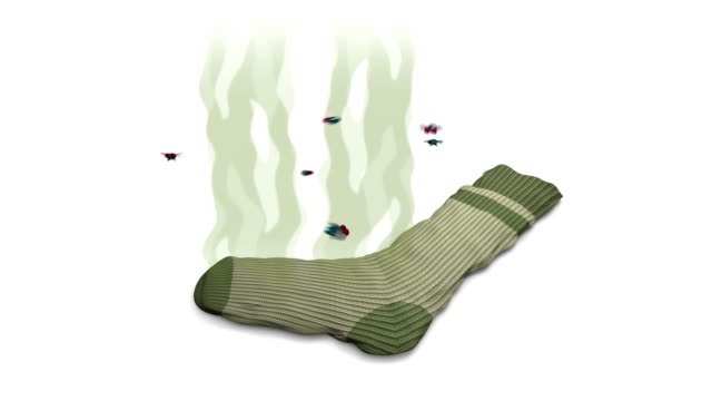 The flies are the bullpen. (istockphoto.com)