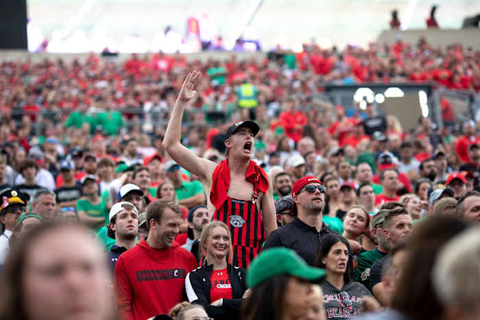 Cincinnati fans