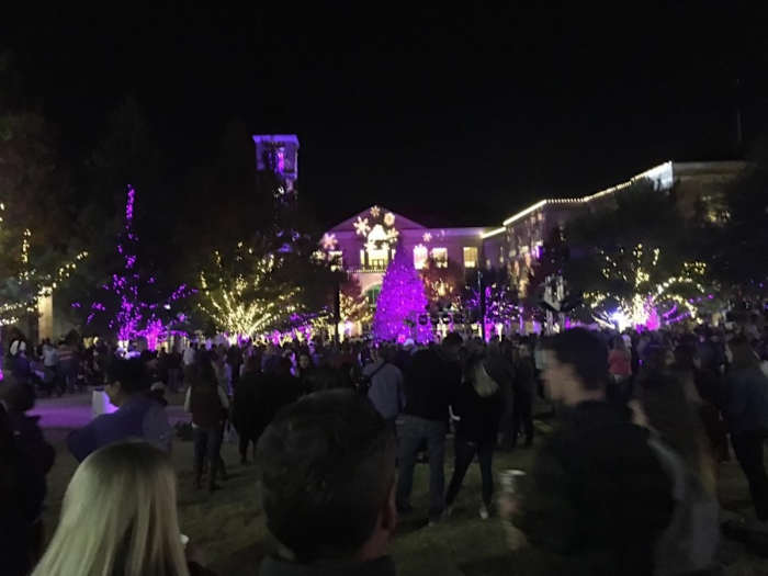 2019 tree lighting
