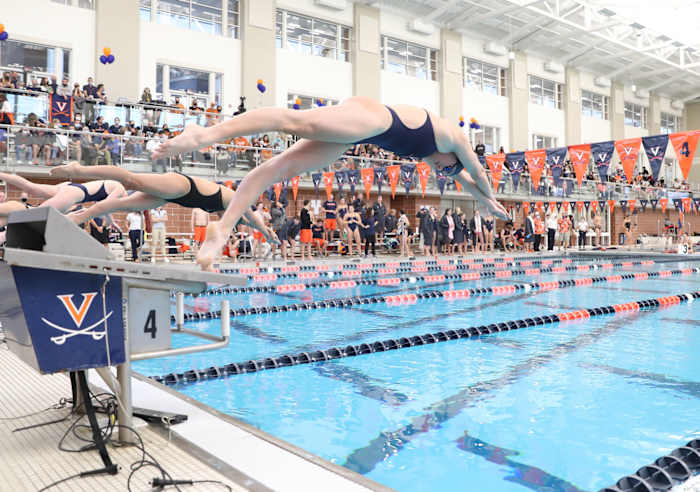 Virginia Cavaliers swimming & diving