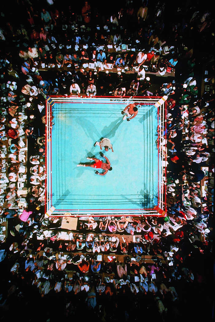 rumble-in-the-jungle