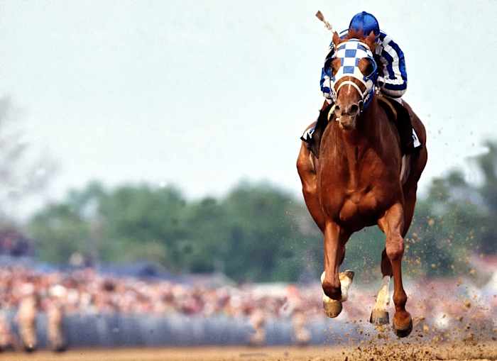 001323795Finalfinalfinal-1