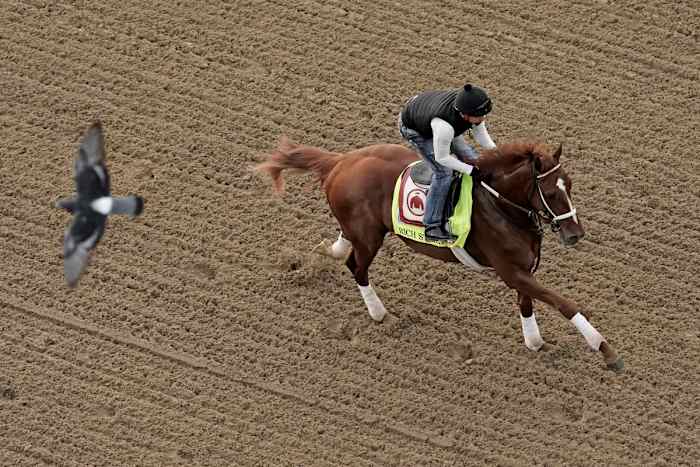 Rich Strike was set to have another practice run at Churchill Downs on Saturday to determine his Preakness status, but the overall plan changed Thursday.
