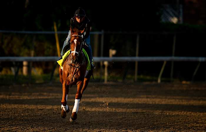 Rich Strike will skip the Preakness, but he could still race in the Belmont Stakes on June 11.