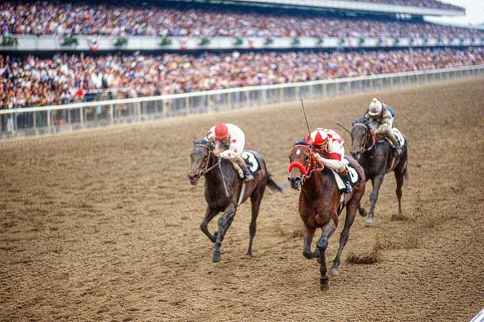 Pleasant Colony's Derby and Preakness wins are overshadowed by defeat at Belmont (far right, behind Summing, middle).