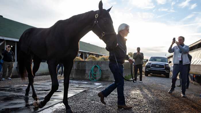 Bob Baffert led Kentucky Derby winner Medina Spirit back to the barn on the morning after the race. Medina Spirit is Baffert's seventh Kentucky Derby winner.