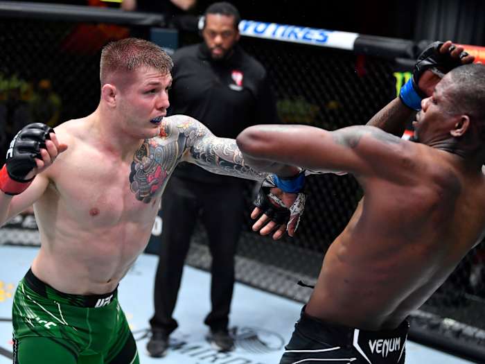 marvin-vettori-inline