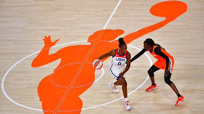 wnba-logo-the-fan-project