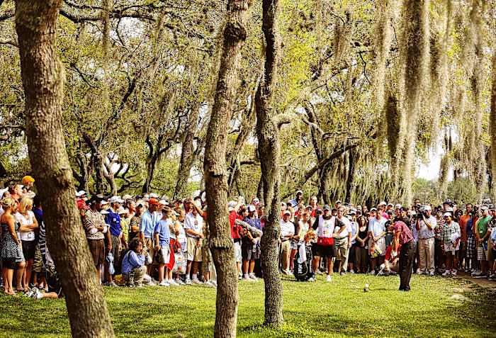 Tiger_Woods_Sports_Illustrated_00044