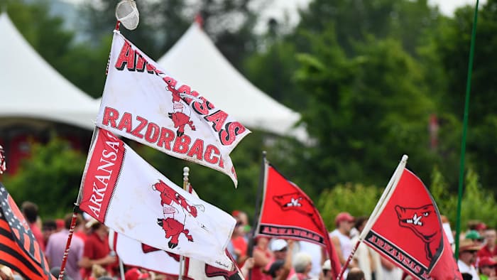 Razorback fans in the HogPen during game against Santa Clara on Friday