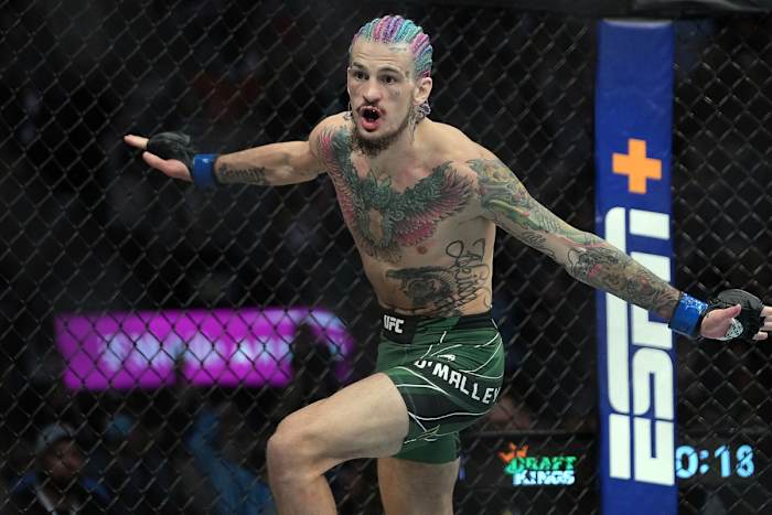 UFC bantamweight Sean O'Malley celebrates a big win inside the Octagon.