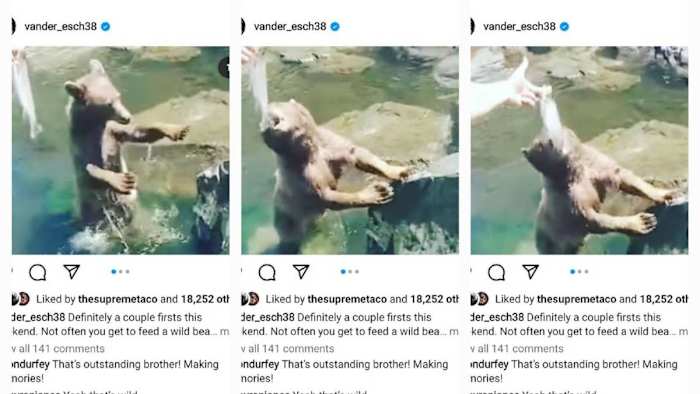  via: vander_esch38, Instagram