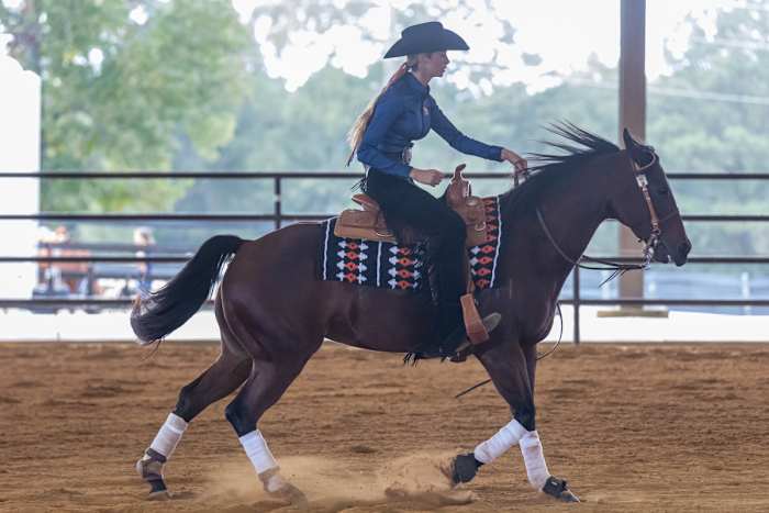 Orange and Blue Equestrian 2022_9-30-2022_8739