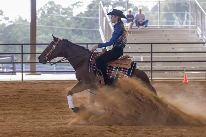 Orange and Blue Equestrian 2022_9-30-2022_8726