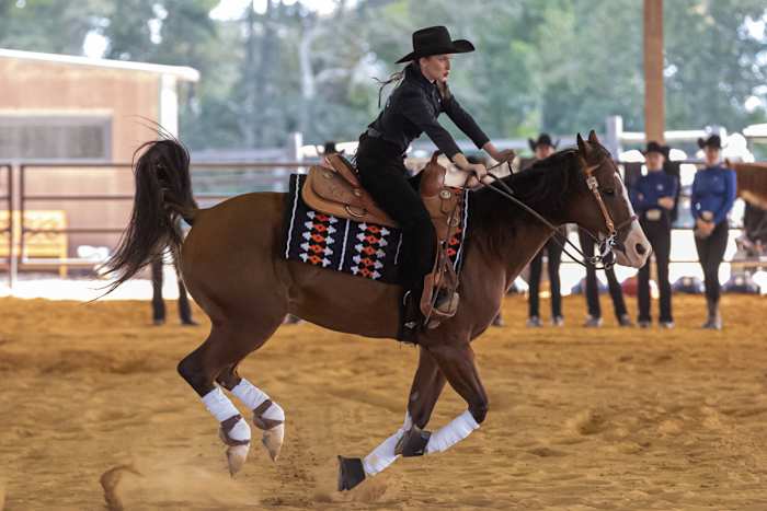 Taylor Banks of Auburn Equestrian