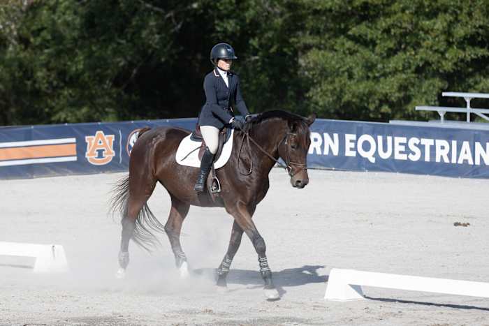 Anna Marie Mayes of Auburn Equestrian