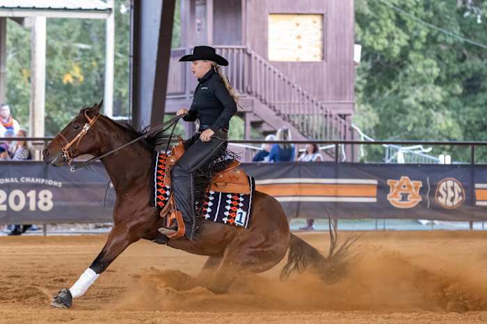 Kate Buchanan of Auburn Equestrian