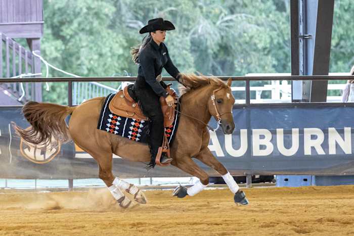 Olivia Marino of Auburn Equestrian