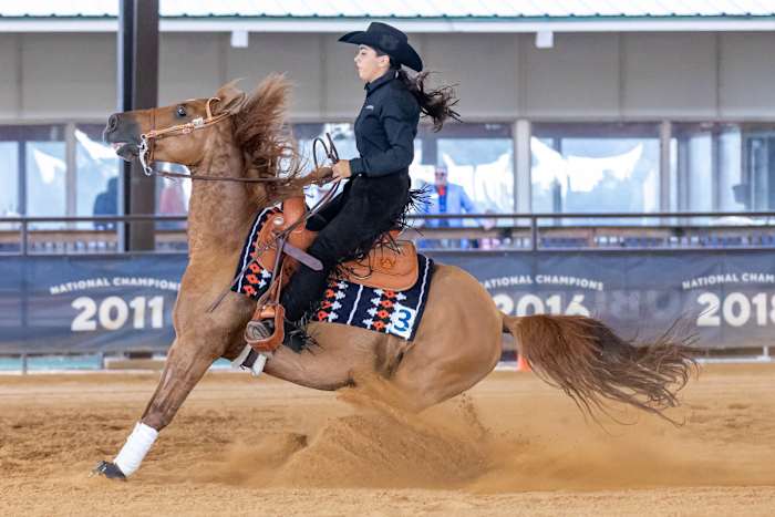 Olivia Marino of Auburn Equestrian