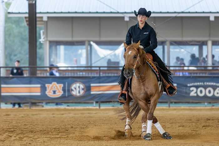 Olivia Marino of Auburn Equestrian