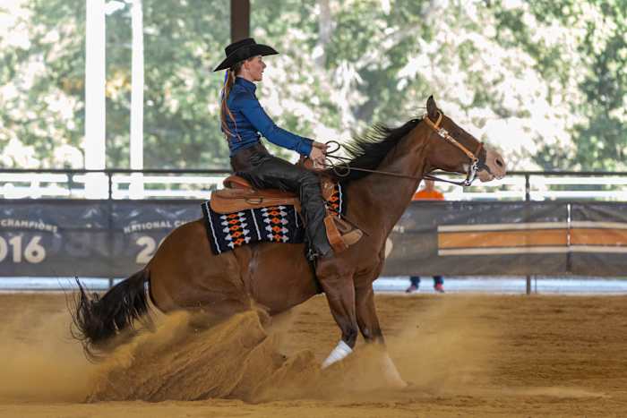 Boo Kammerer of Auburn Equestrian