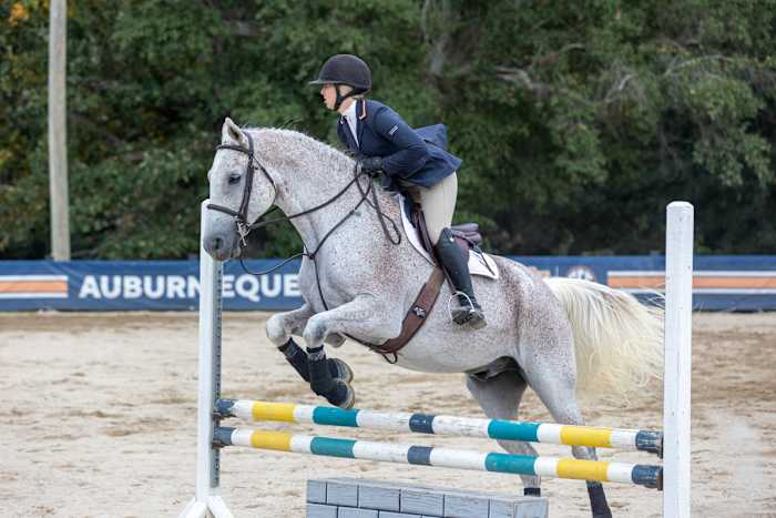 Anne Douglas Hamiter of Auburn Equestrian