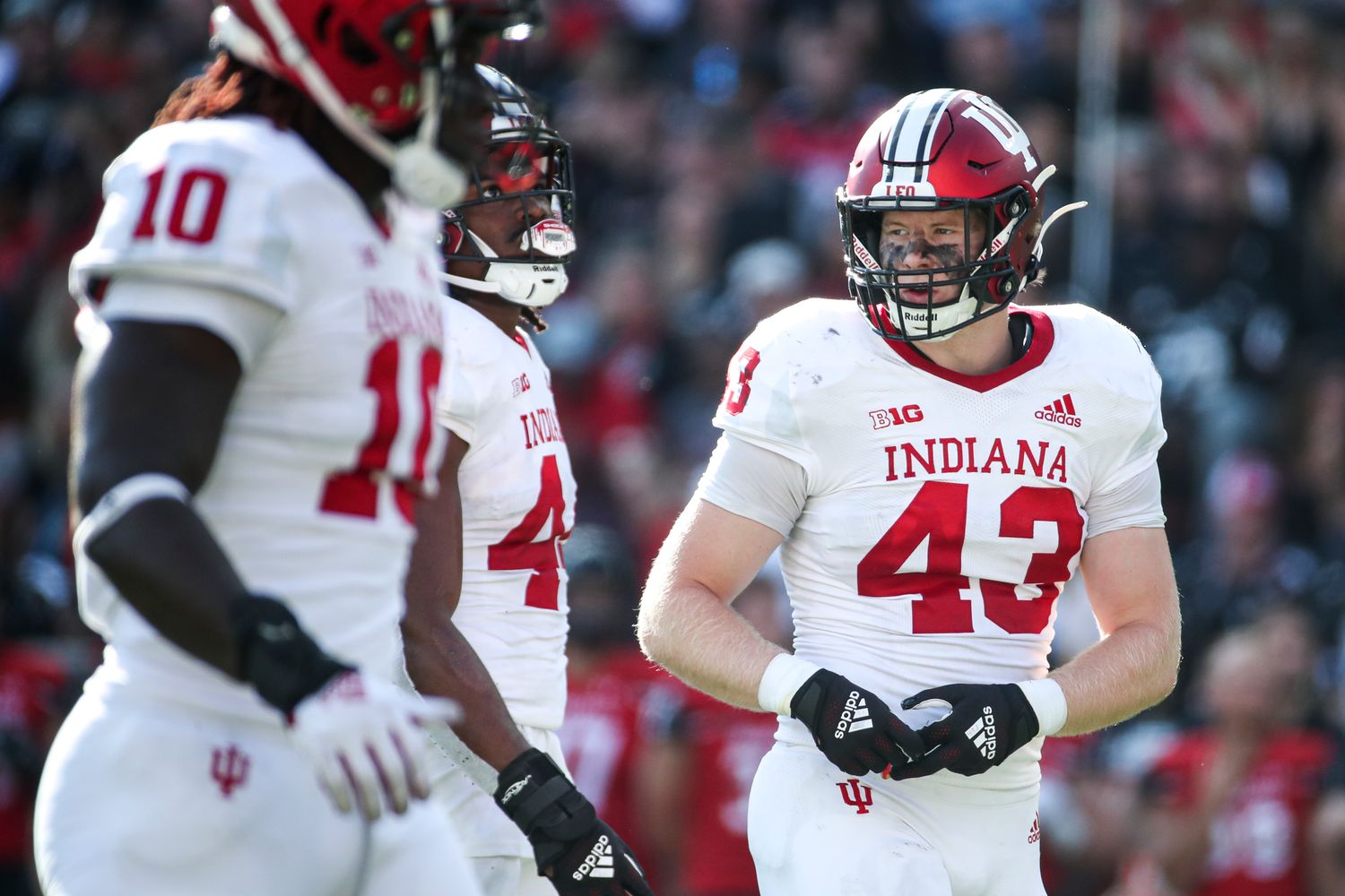 Indiana redshirt freshman linebacker Matt Hohlt (43) stands beside teammates Aaron Casey (44) and Myles Jackson (10) during Indiana's game against Cincinnati at Nippert Stadium on Sept. 24.