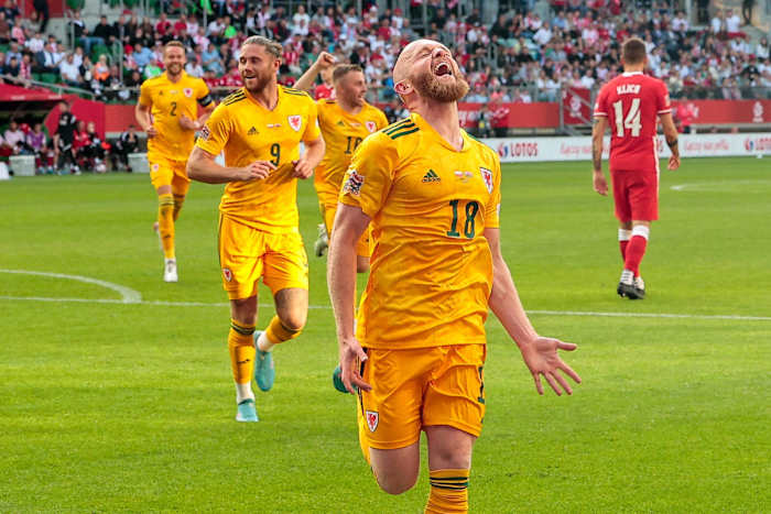 Jonny Williams celebrating his goal against Poland.